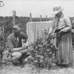 Dr. Frederich Vernon Coville și Elizabeth Coleman White la determinări în câmp în 1920